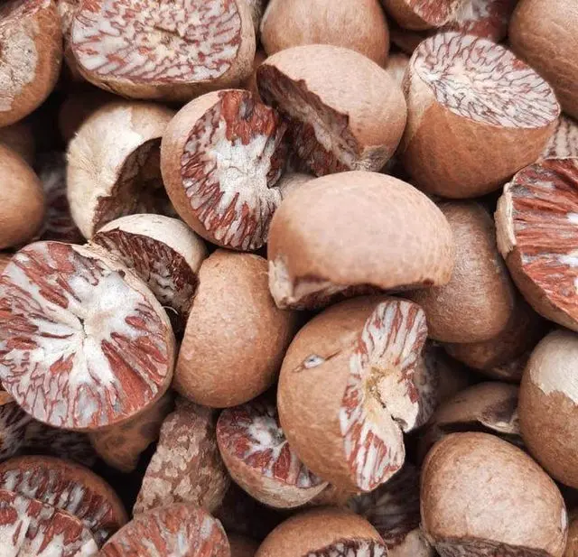 Split Betel Nut Supplier Indonesia